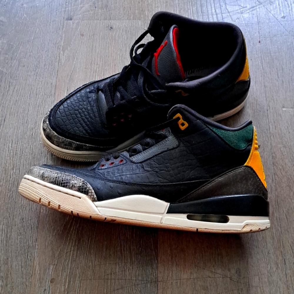 Jordan 3 Animal Instincts 9.5